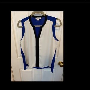 Blue, Black and White Calvin Klein Shirt